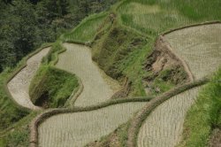 IMG_2714 (FILEminimizer)