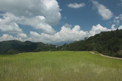 IMG_2721 (FILEminimizer)