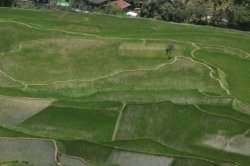 IMG_2755 (FILEminimizer)