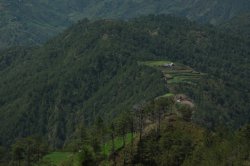 IMG_2765 (FILEminimizer)