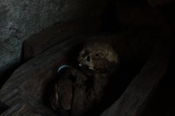 IMG_2770 (FILEminimizer)