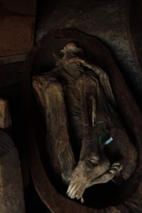 IMG_2776 (FILEminimizer)