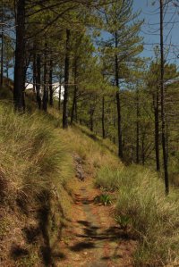 IMG_2778 (FILEminimizer)