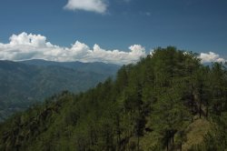 IMG_2798 (FILEminimizer)