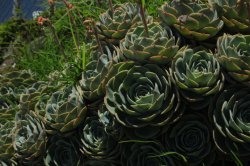 IMG_2801 (FILEminimizer)