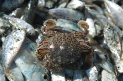 IMG_3110 (FILEminimizer)