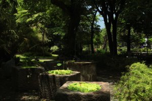 IMG_3175 (FILEminimizer)