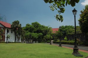 IMG_3184 (FILEminimizer)