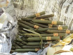 IMG_1435 (FILEminimizer)