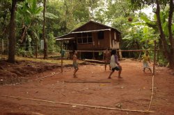 IMG_3219 (FILEminimizer)