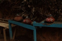 IMG_3230 (FILEminimizer)