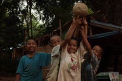 IMG_3239 (FILEminimizer)