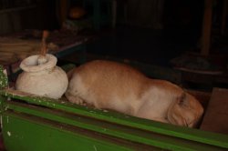 IMG_3247 (FILEminimizer)