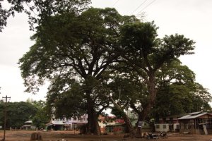 IMG_3251 (FILEminimizer)