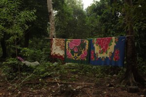 IMG_3293 (FILEminimizer)