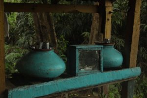 IMG_3308 (FILEminimizer)