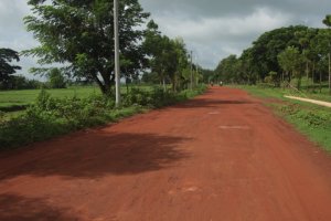 IMG_3567 (FILEminimizer)