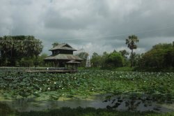 IMG_3614 (FILEminimizer)