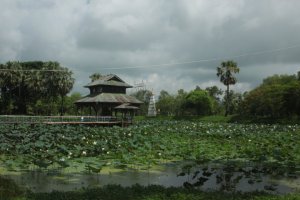 IMG_3614 (FILEminimizer)