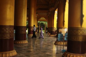 IMG_3645 (FILEminimizer)