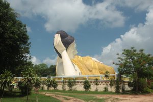 IMG_3661 (FILEminimizer)