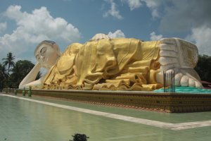 IMG_3666 (FILEminimizer)