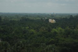 IMG_3707 (FILEminimizer)