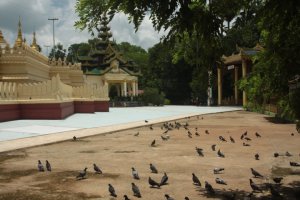 IMG_3745 (FILEminimizer)