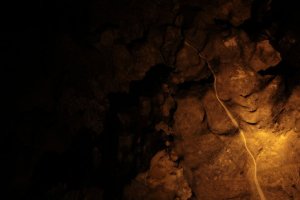 IMG_3844 (FILEminimizer)