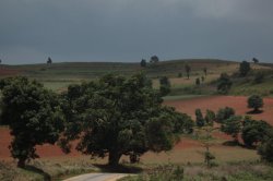 IMG_3931 (FILEminimizer)