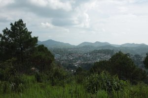 IMG_3936 (FILEminimizer)