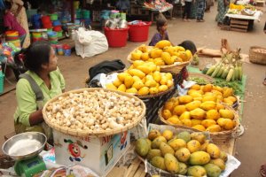 IMG_3954 (FILEminimizer)