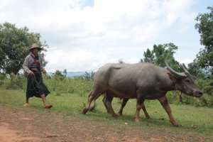 IMG_3982 (FILEminimizer)