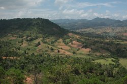 IMG_3998 (FILEminimizer)