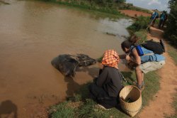 IMG_4072 (FILEminimizer)