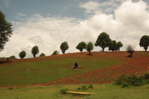 IMG_4157 (FILEminimizer)