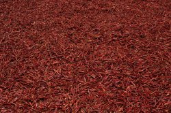 IMG_4159 (FILEminimizer)