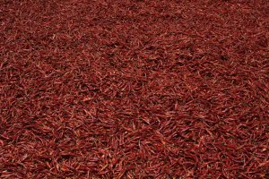 IMG_4159 (FILEminimizer)