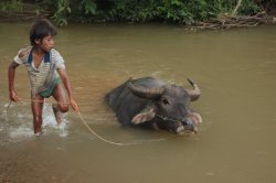 IMG_4191 (FILEminimizer)