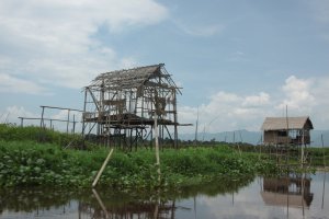 IMG_4250 (FILEminimizer)