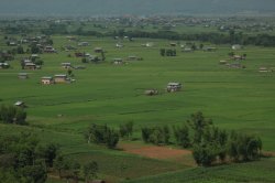 IMG_4288 (FILEminimizer)