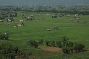 IMG_4288 (FILEminimizer)