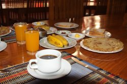 IMG_4375 (FILEminimizer)