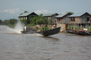 IMG_4382 (FILEminimizer)