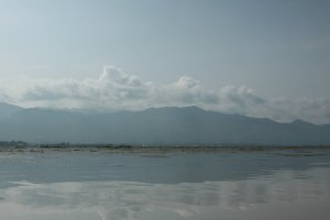 IMG_4390 (FILEminimizer)