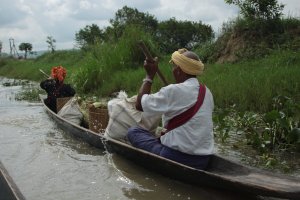 IMG_4406 (FILEminimizer)