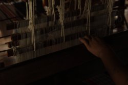 IMG_4480 (FILEminimizer)