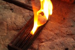 IMG_4527 (FILEminimizer)