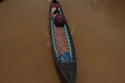 IMG_4555 (FILEminimizer)