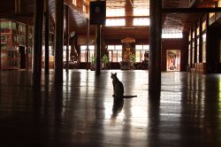 IMG_4607 (FILEminimizer)